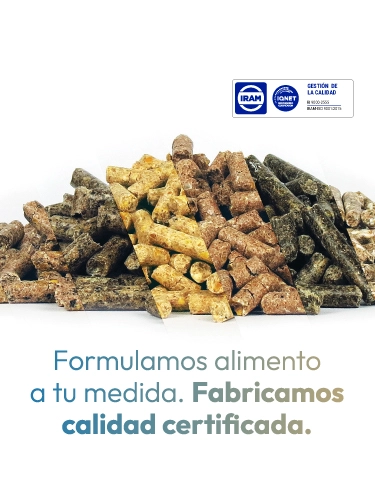 Política de calidad