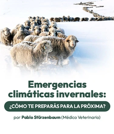 Balanceados Crecer
