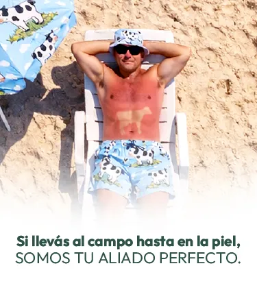 Somos tu aliado perfecto