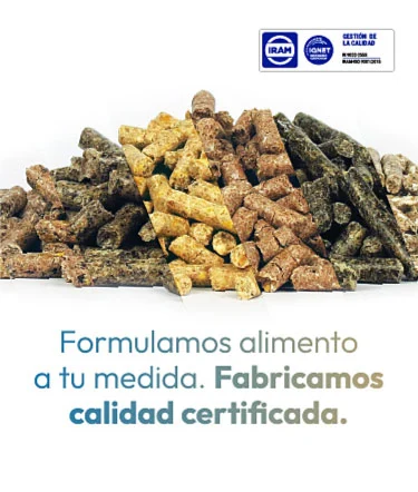 Política de calidad
