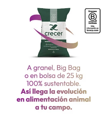 Nuestro aporte