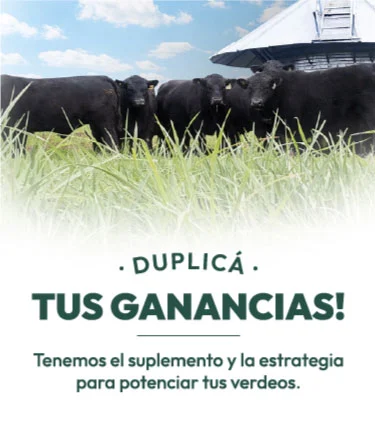 Duplicá tus ganancias