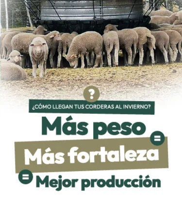 Más peso, más fortaleza